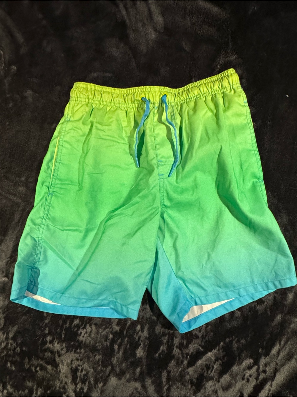 Men's Green Ombre Swim Shorts - Elastic Waist